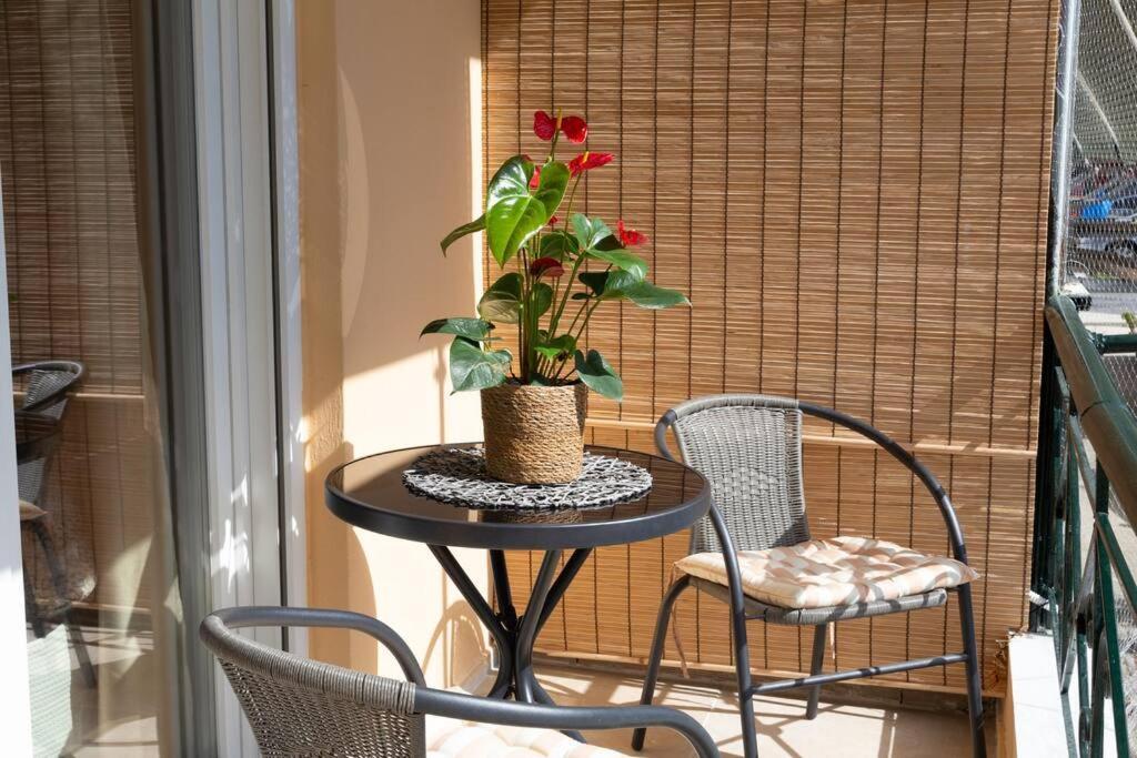 Afrodite'S Cosy And Lovely Apartment Alepou Exterior foto